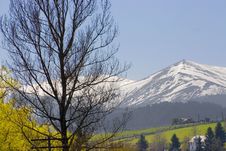 April In Carpathian Mountains Royalty Free Stock Image April In Carpathian Mountains Royalty Free Stock Image