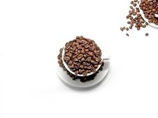 Coffee Beans Royalty Free Stock Image Coffee Beans Royalty Free Stock Image