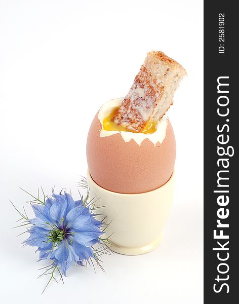 Boiled egg and toasted finger