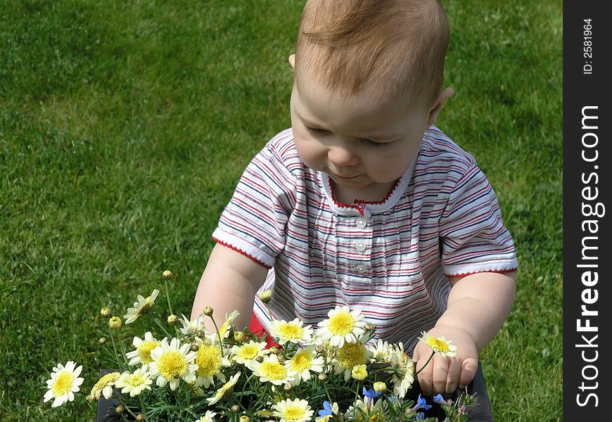 Baby looking at yellow flowers with green grass backround and striped shirt.