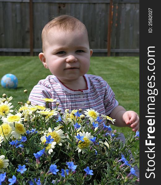 Baby with yellow and blue flowers and grass and blue ball in background. Baby with yellow and blue flowers and grass and blue ball in background