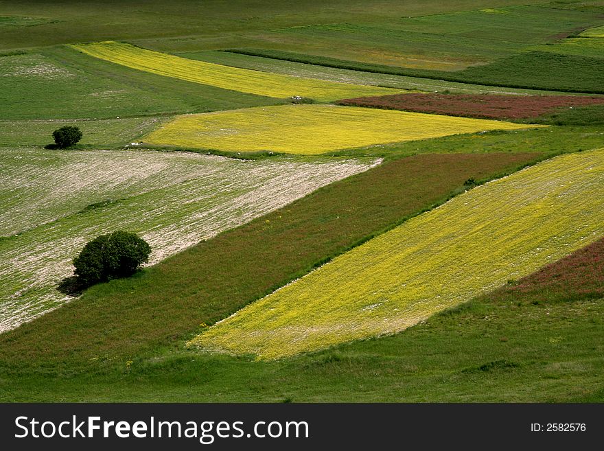 Spring landscape captured near Castelluccio di Norcia - Umbria - Italy. Spring landscape captured near Castelluccio di Norcia - Umbria - Italy