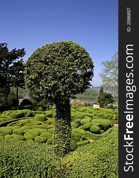 Round shaped box-tree, marqueyssac, france