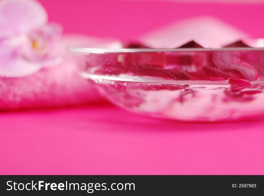 Fresh petals of flowers on the pink background. Fresh petals of flowers on the pink background