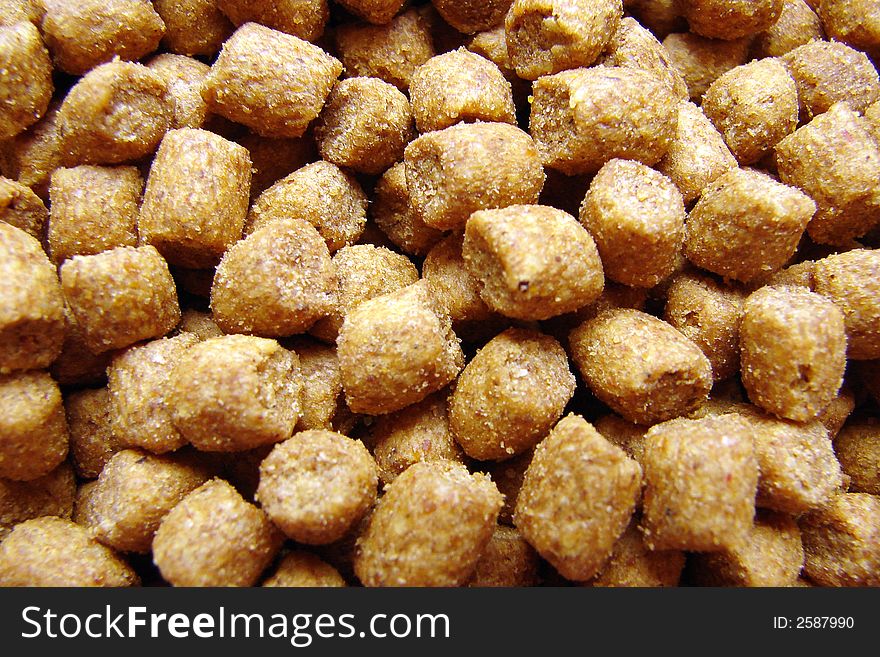 Cat croquettes close-up photo