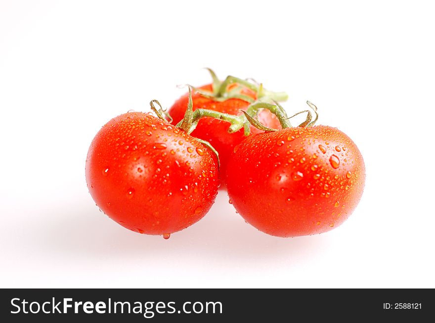 Proud red tomatoes on the bright background