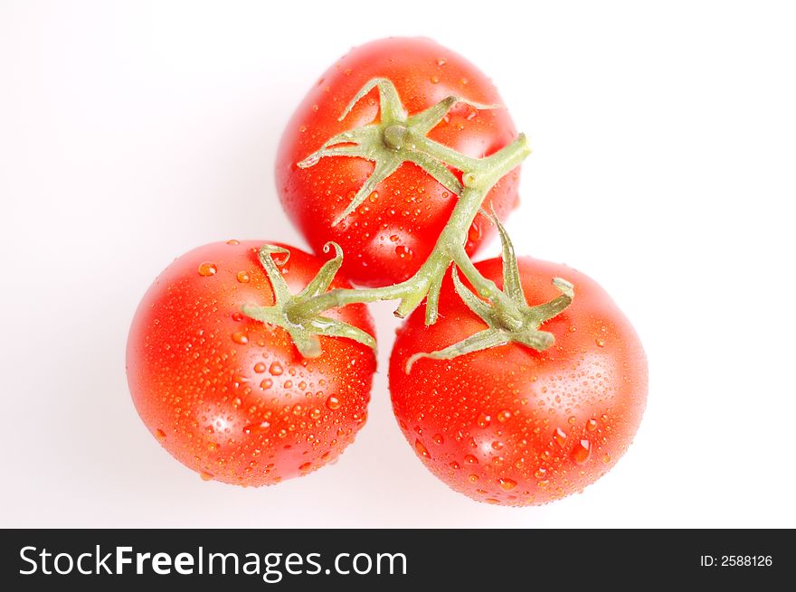 Proud red tomatoes on the bright background