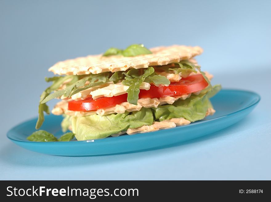 sandwich with fresh tomato and lettuce for the vegetarian