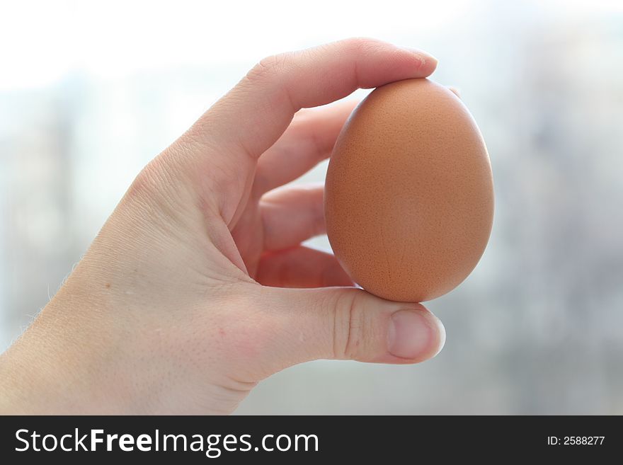 Egg chicken in a female hand