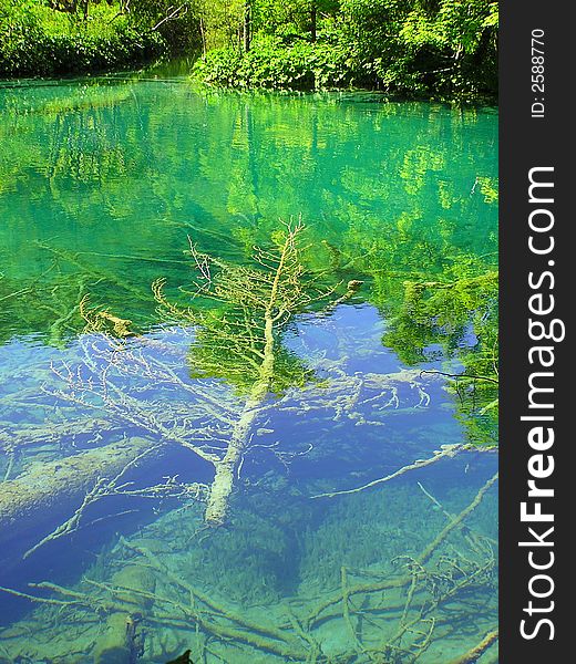 Fallen tree under water in Plitvice Lakes National Park, Croatia