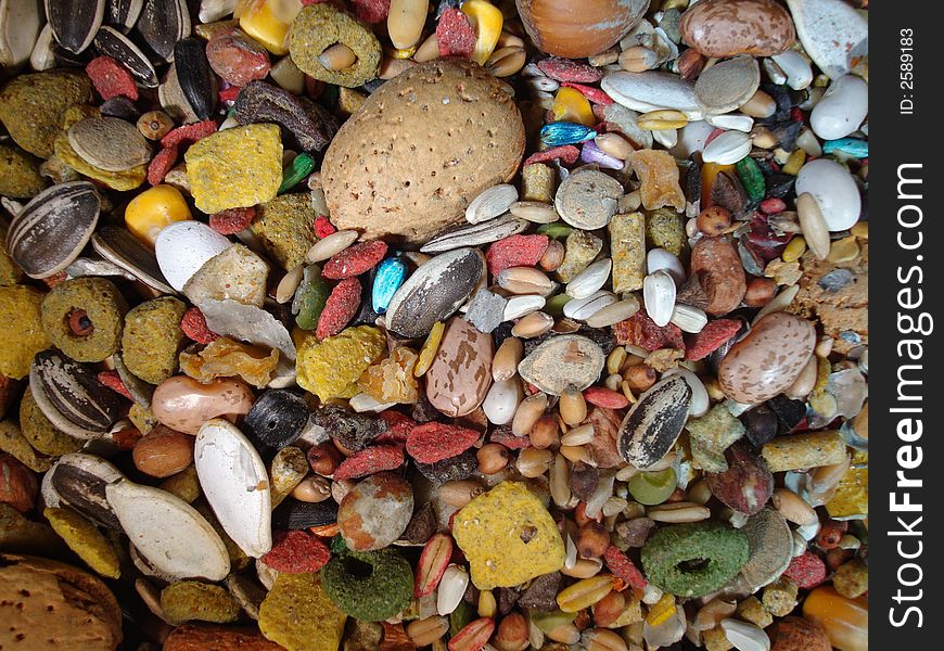 A colorful blend of bird seeds, mixed nuts, dried fruit, and other bird food.