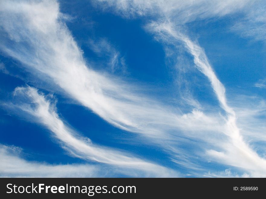 Feather-like clouds in the blue sky. Feather-like clouds in the blue sky