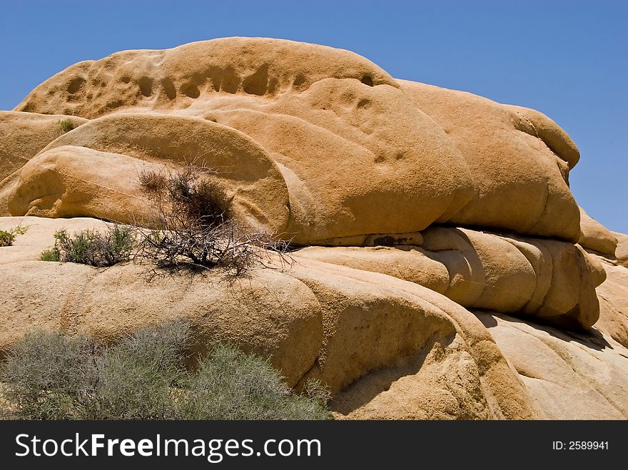 Smooth sandstone boulders, brush and tumbleweed - desert landscape near Joshua Tree, California.