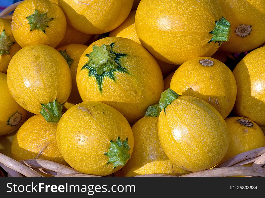 Many small round squash in a basket. Many small round squash in a basket