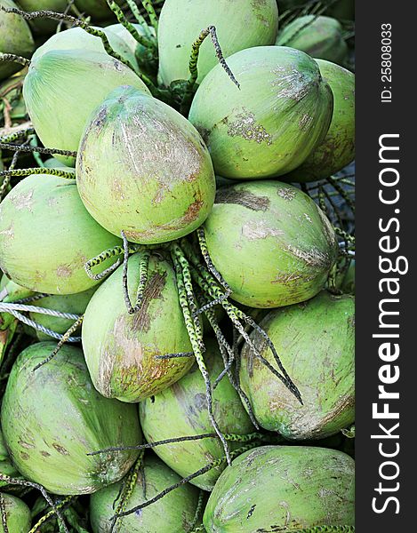 Cluster of green coconuts in Thailand local market