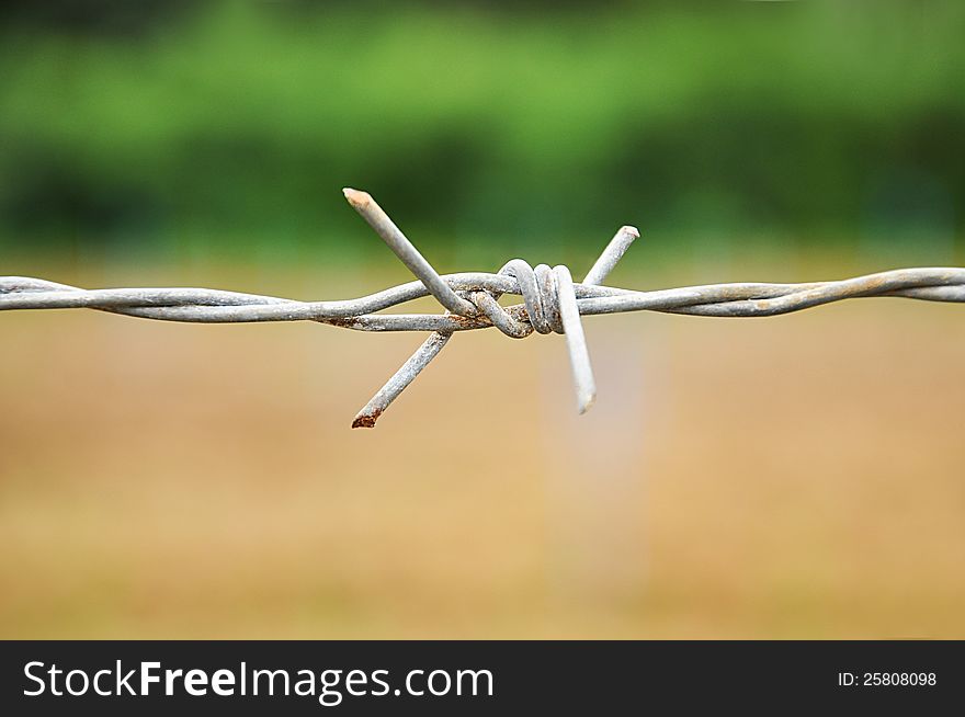 Old barbed wire close up