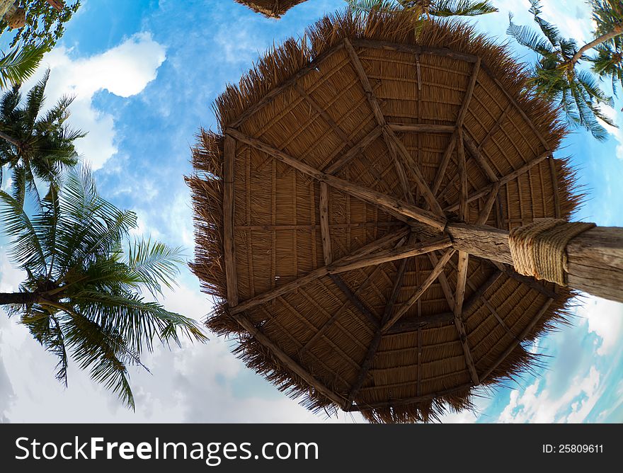 Umbrella on tropical beach made of palm leaves up view. Umbrella on tropical beach made of palm leaves up view