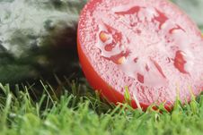Tomato With Cucumber Stock Photos Tomato With Cucumber Stock Photos