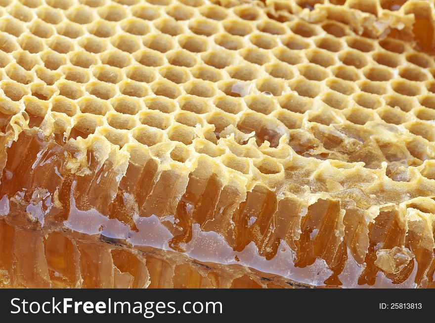 Photography close-up honeycomb with honey