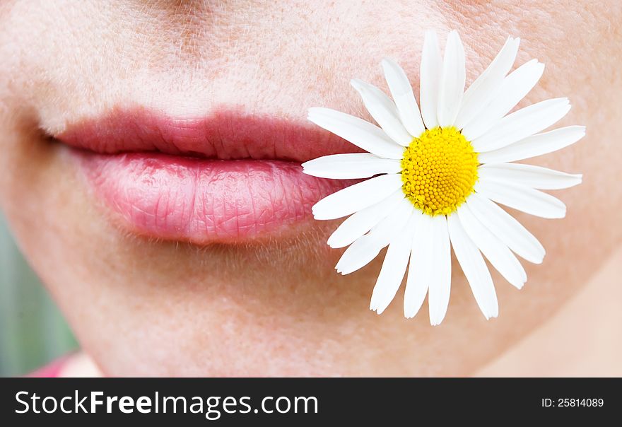 Chamomile flowers and lips of young woman. Chamomile flowers and lips of young woman