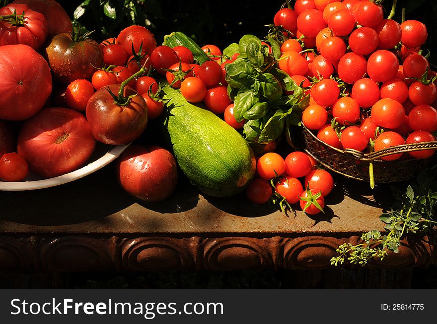 Harvest of tomatoes, zucchini, oregano and basil all on a garden bench in a wire basket and a ceramic bowl. Harvest of tomatoes, zucchini, oregano and basil all on a garden bench in a wire basket and a ceramic bowl