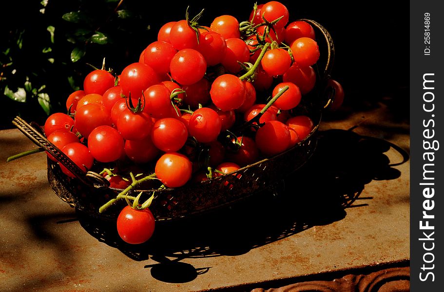 Baseket Of Tomatoes