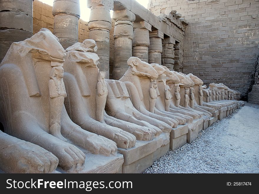 Ram statues in front of the Karnak temple in Luxor. Ram statues in front of the Karnak temple in Luxor