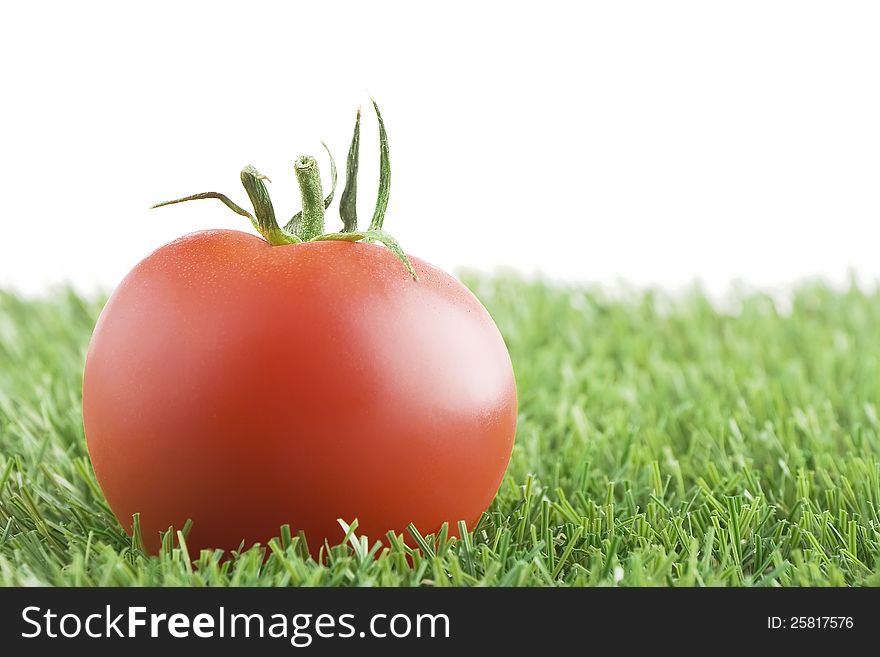 Tomato On Grass