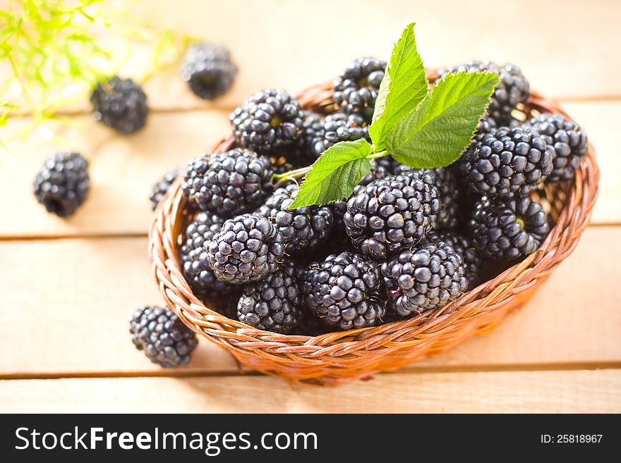 Fresh blackberry-delicious and tasty fruit