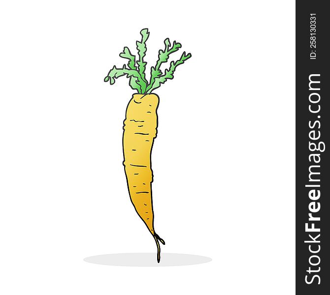 freehand drawn cartoon carrot