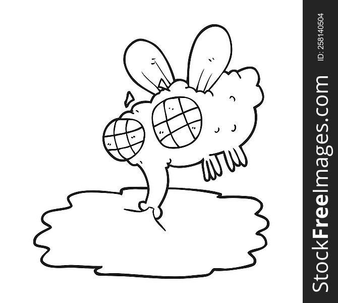 freehand drawn black and white cartoon gross fly