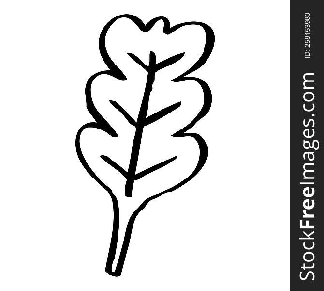 line drawing cartoon oak leaf