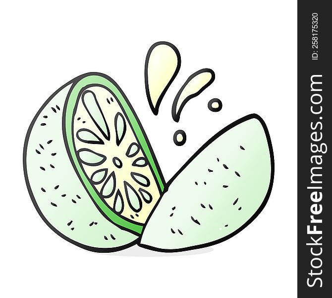 freehand drawn cartoon melon