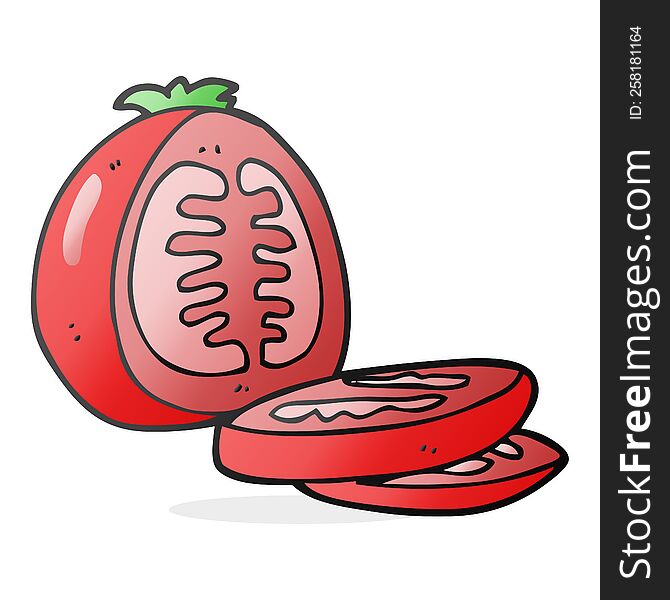 freehand drawn cartoon sliced tomato