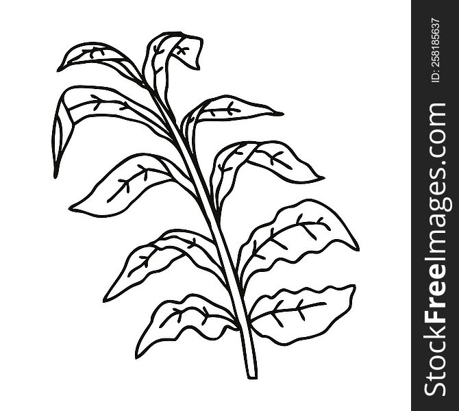 Quirky Line Drawing Cartoon Vine Leaves