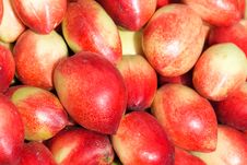Nectarine Royalty Free Stock Photography Nectarine Royalty Free Stock Photography