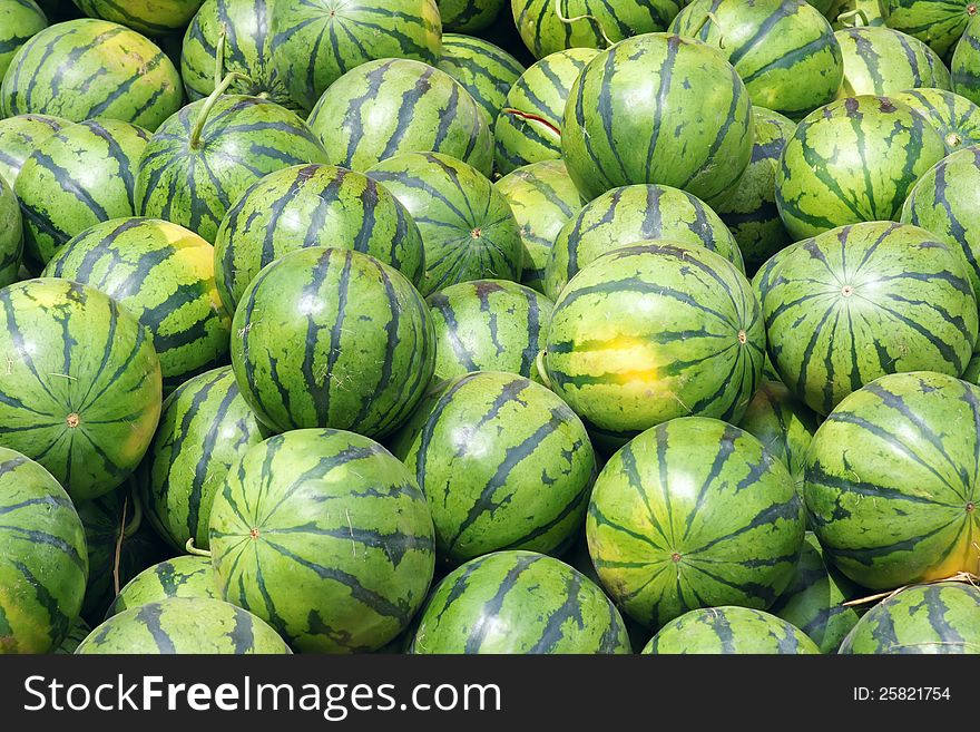 The background of water-melons. The background of water-melons