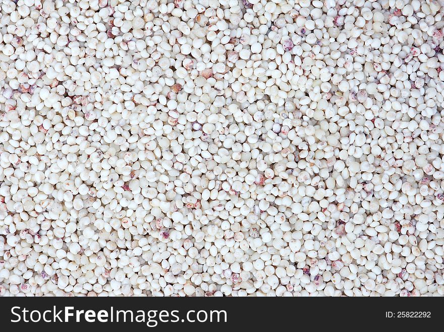 The background of grain sorghum