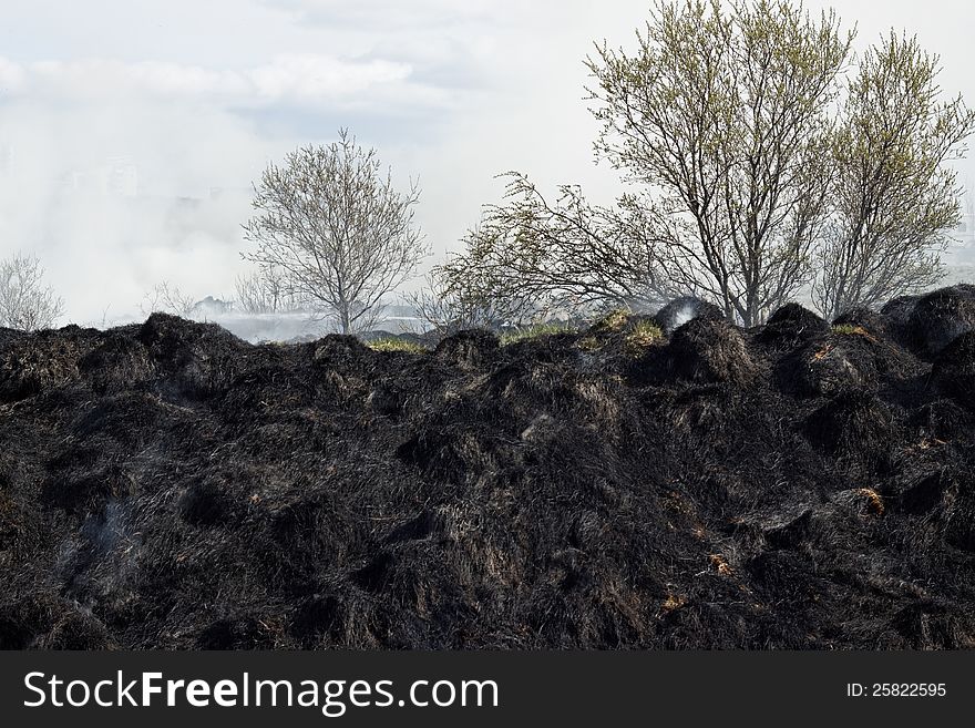 Black and gray grass residues after wildfire. Focus is on fireman in the background. Black and gray grass residues after wildfire. Focus is on fireman in the background.