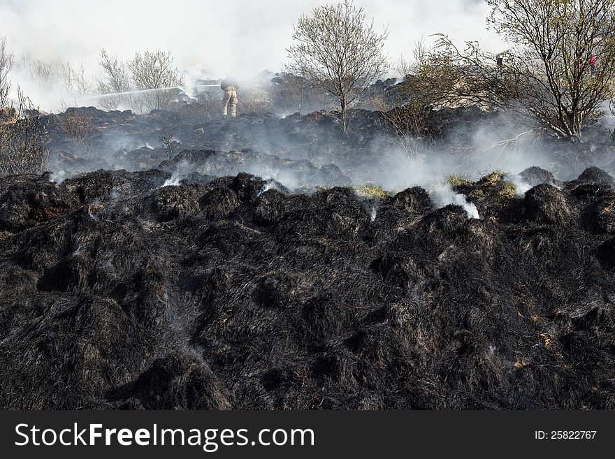 Black and gray grass residues after wildfire. Focus is on fireman in the background. Black and gray grass residues after wildfire. Focus is on fireman in the background.