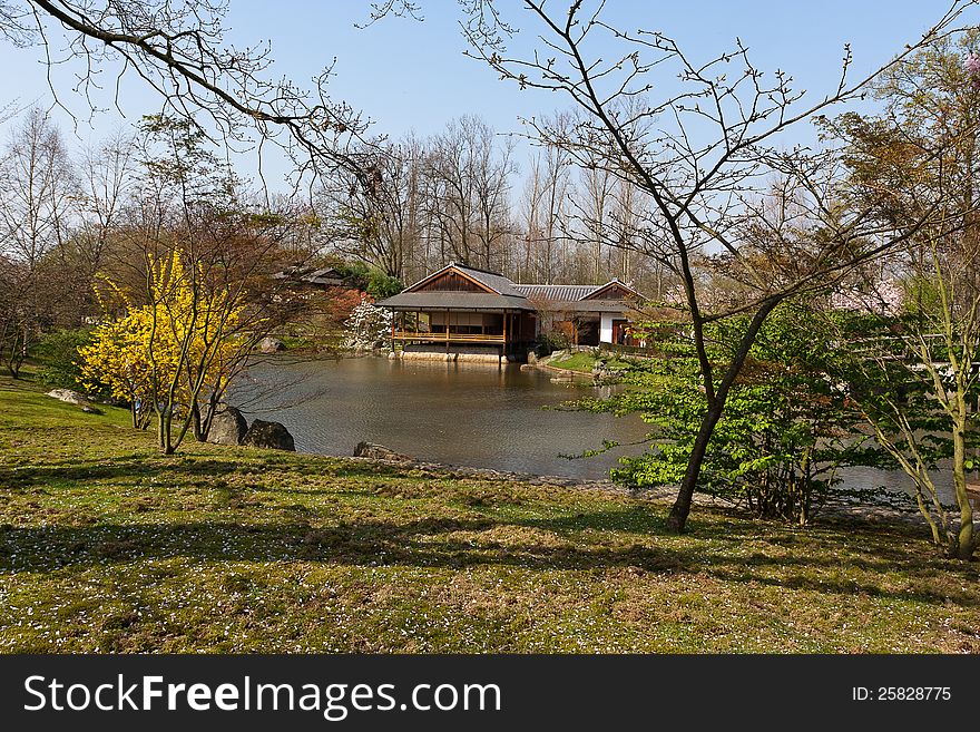 Tea house near pond in the Japanese garden in Hasselt , Limburg, Belgium, Europes largest Japanese Garden, early spring time. Tea house near pond in the Japanese garden in Hasselt , Limburg, Belgium, Europes largest Japanese Garden, early spring time