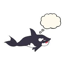 Cartoon Killer Whale With Thought Bubble Royalty Free Stock Photography