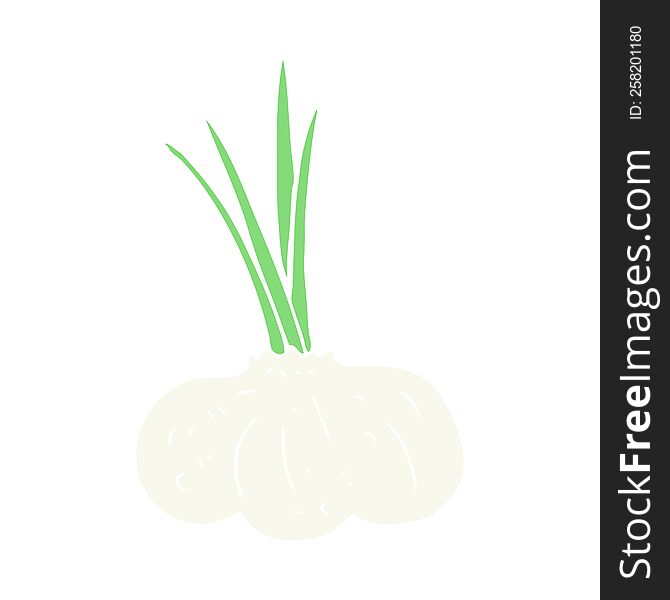 Flat Color Illustration Of A Cartoon Garlic Bulb