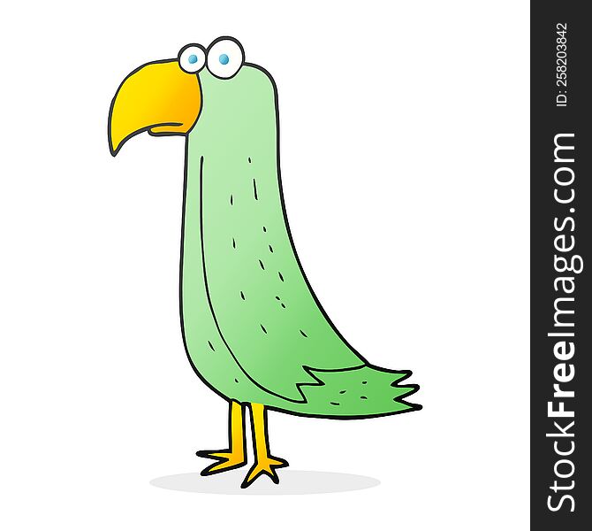 Cartoon Parrot