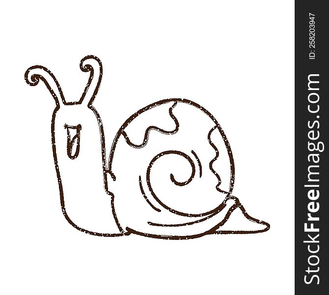 Scribbly Snail Charcoal Drawing