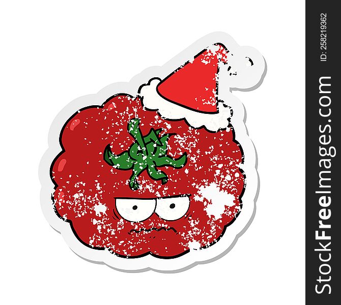 hand drawn distressed sticker cartoon of a angry tomato wearing santa hat