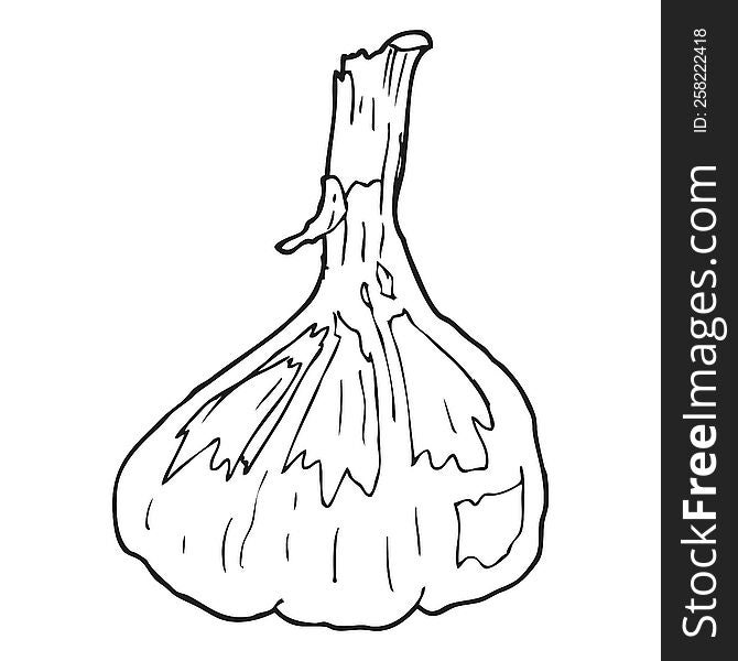 freehand drawn black and white cartoon garlic