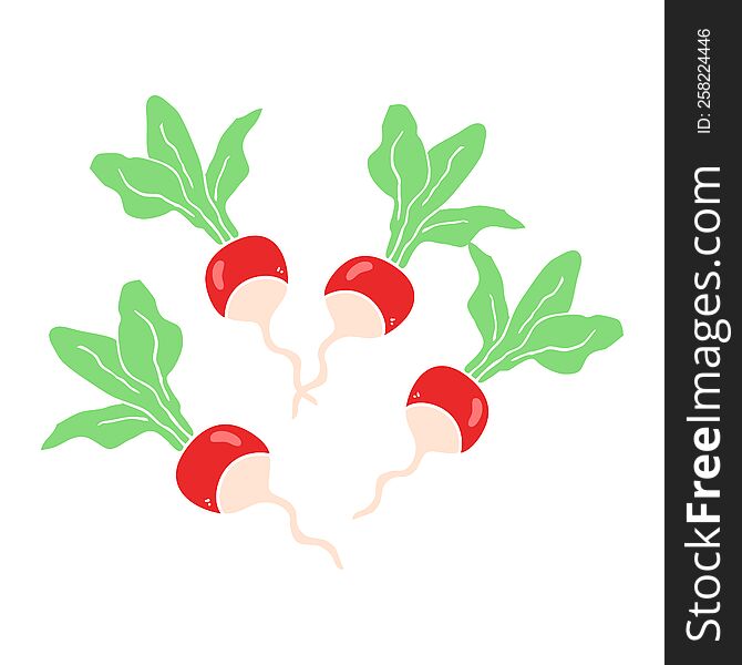 flat color illustration of radishs. flat color illustration of radishs