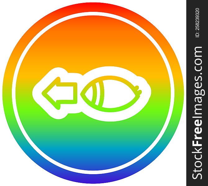 staring eye circular in rainbow spectrum