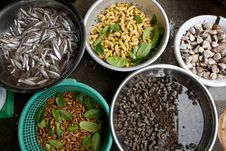 Fresh Fish And Maggots Royalty Free Stock Photo Fresh Fish And Maggots Royalty Free Stock Photo